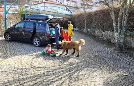 Casinhas das Tílias - Foto 23