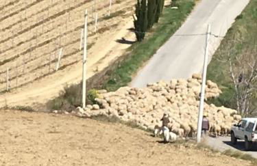 Casa Belfi - Foto 36