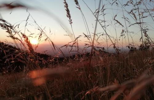 Ferienwohnung Auszeit -Gipfhof- - Foto 24