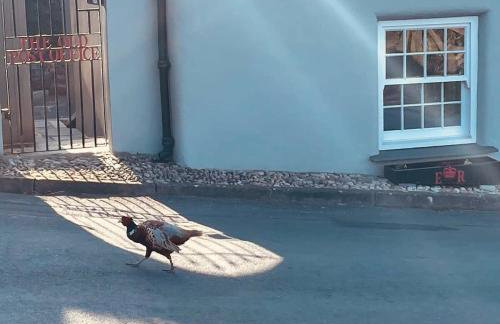 The Old Post Office Private Parking & Garden - Foto 31