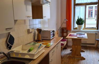 FeWo-Regenbogen-Dresden - Foto 11