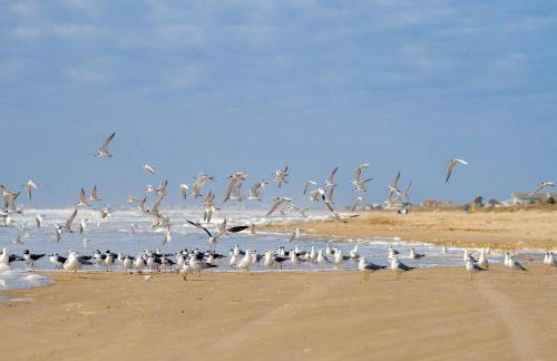 Blue Water Escape - Foto 31