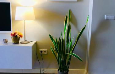 Diseño y confort junto a la catedral - Foto 7