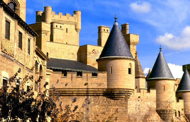 Casa rural La Bardena Blanca I - Foto 48