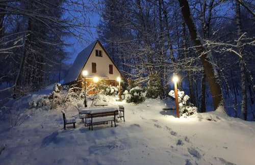 Leśny Zakątek - Foto 31