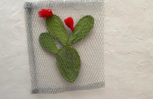 Casa Vacanze Disque Rouge - Foto 12