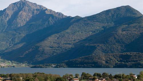 Villa Ago Luxury Apartments & Studios - Photo 5