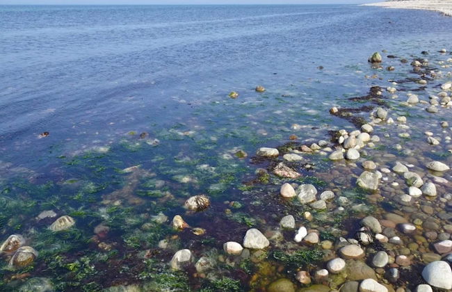 4 Person Holiday Home in Graested - Foto 28