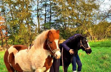 Eichsfeld FeWo-Sunny im Rhumetal - Foto 18