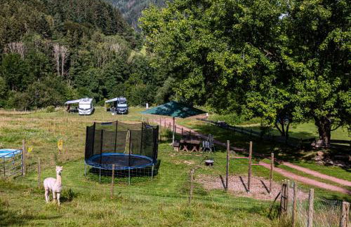 Ferienwohnungen Schwabenhof - Foto 39