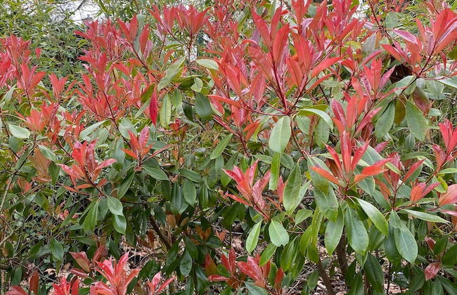 The Pink House, Uccle - Photo 10