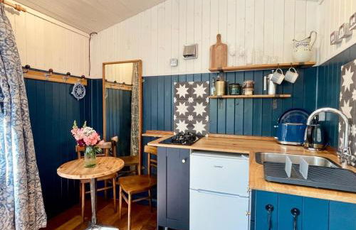 The Garden Room - Cabin on The Lizard - Foto 27