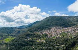 D & G apartment - Photo 12