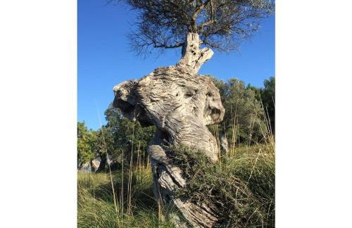 with sea view Comfortable holiday residence - Foto 34