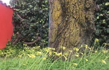 Villino Luce - Photo 11