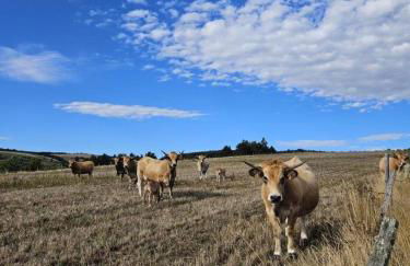 La cabane d'antoine - Foto 23