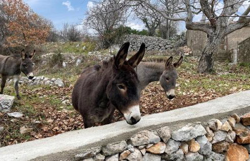 Amazing Home In Plomin With Wifi - Foto 42