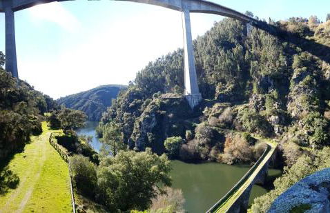 O Ninho do Rei - Foto 34