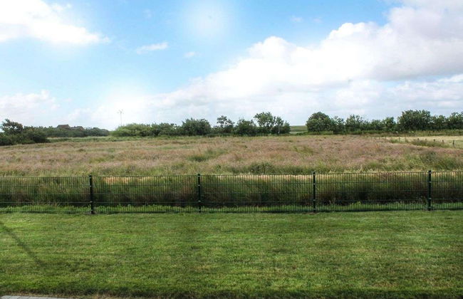 Herzmuschel - Foto 12