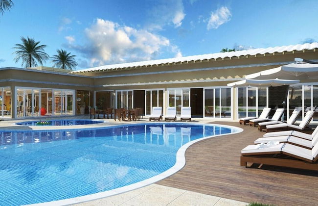 Rosa Internacional - Surfland - Photo 1