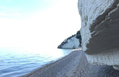 Camping Apartment Vignanotica - Foto 3