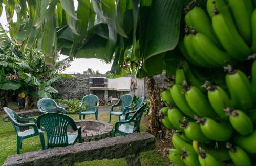 Maria's Haven - Photo 70