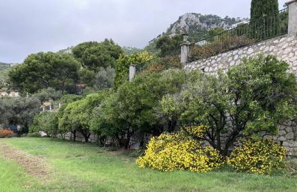 Mas Sainte Marie - Foto 40