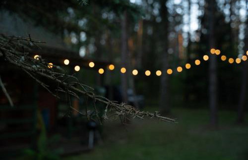 Między Sosnami - Foto 51