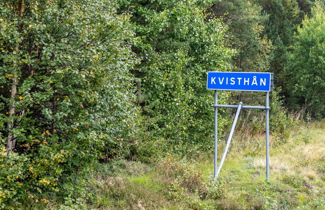 Kvisthån Tallen - Photo 31