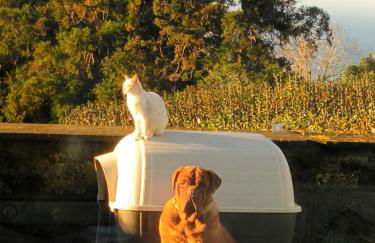 Quinta da Carlota - Photo 26