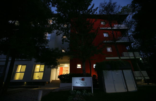 Avutarda de Carilo - Photo 67