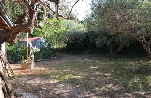 Bouganville in Villa Greco - Foto 71