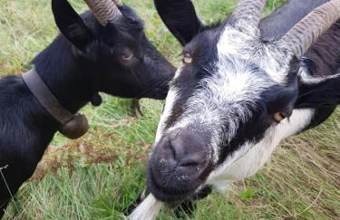 Ferienwohnung Sonthofenersee - Photo 24