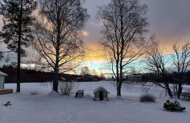 Forest Family Home - Foto 77