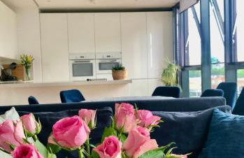 Luxury 2 bedroom apartment 20 min from central London - Foto 1