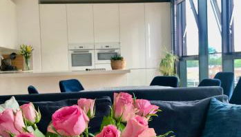 Luxury 2 bedroom apartment 20 min from central London - Foto 1