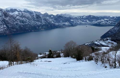 Alice’s House - Foto 15