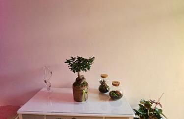 Palazzo Glicine - Photo 7