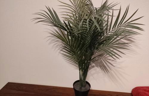 3 Floor XXL House, 7 Rooms, 2 Kitchen, 15 Minutes to Frankfurt, Washing Machine - Foto 41