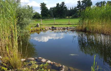 Hof Schwericke - Foto 9