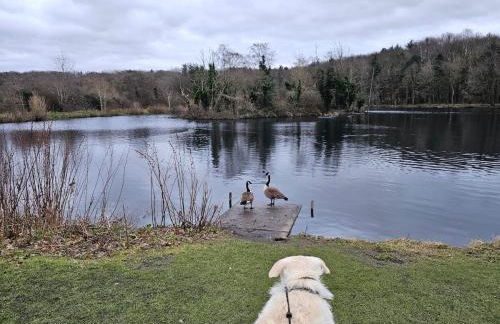 Your Home from Home - River bank - Foto 13