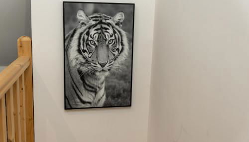 Paradis des bulles - Foto 5