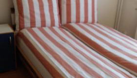 Natur-Freude-16 - Foto 2