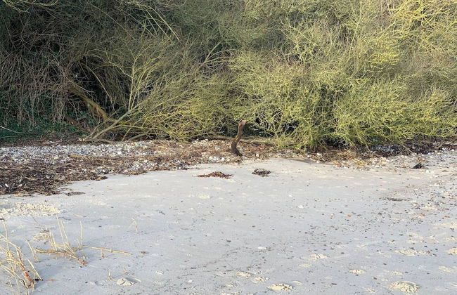 2 Houses In One I Family Friendly I Kids I Sauna I Beach I Large Garden - Foto 34