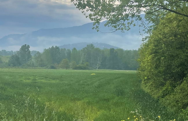 3-bed Artist Chalet Near San Sebastian, Sleeps 6 - Photo 9