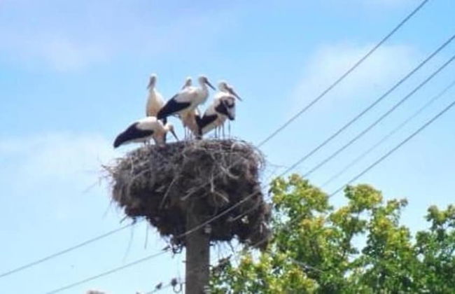 Stunning 3-bed Villa in the Small Village - Photo 13