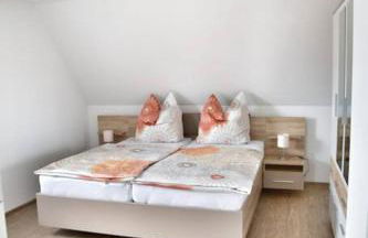 Haffmuschel - Foto 17