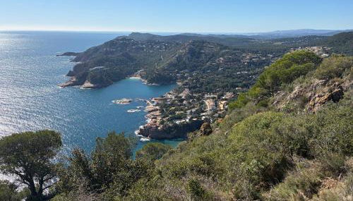 Ca la Pepa - Photo 2