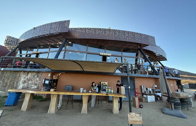 Private Deluxe Wine Tour to Valle de Guadalupe by Luxury Vehicle - Photo 26