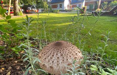 Master Camp Santoczno - Foto 55